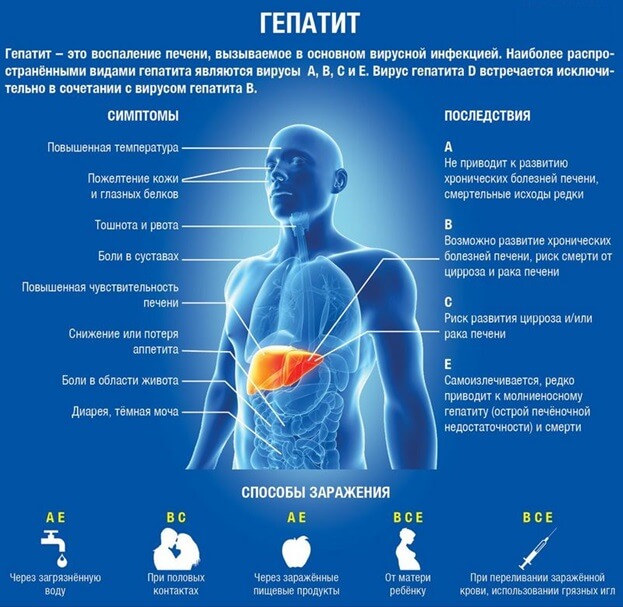 Новый уровень противодействия заболеваниям: вирусный гепатит С- фото № 1 Новый уровень противодействия заболеваниям: вирусный гепатит С