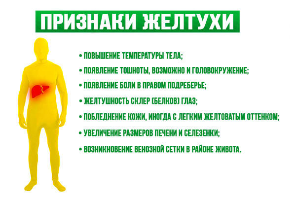Какая стратегия лечения гепатита С считается передовой в мире- фото № 2 Какая стратегия лечения гепатита С считается передовой в мире