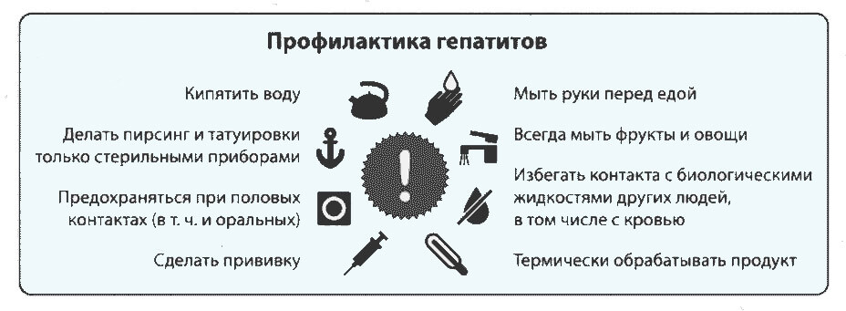 Источники инфицирования гепатитом С- фото № 3 Источники инфицирования гепатитом С