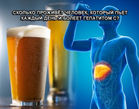 Спиртные напитки и гепатит С- фото № 2 Спиртные напитки и гепатит С