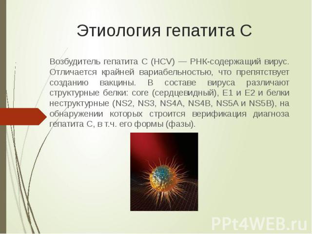 Вылечиться от гепатита С растительными препаратами возможно?- фото № 1 Вылечиться от гепатита С растительными препаратами возможно?