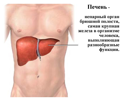 От гепатита С можно вылечиться в любой стране?- фото № 2 От гепатита С можно вылечиться в любой стране?