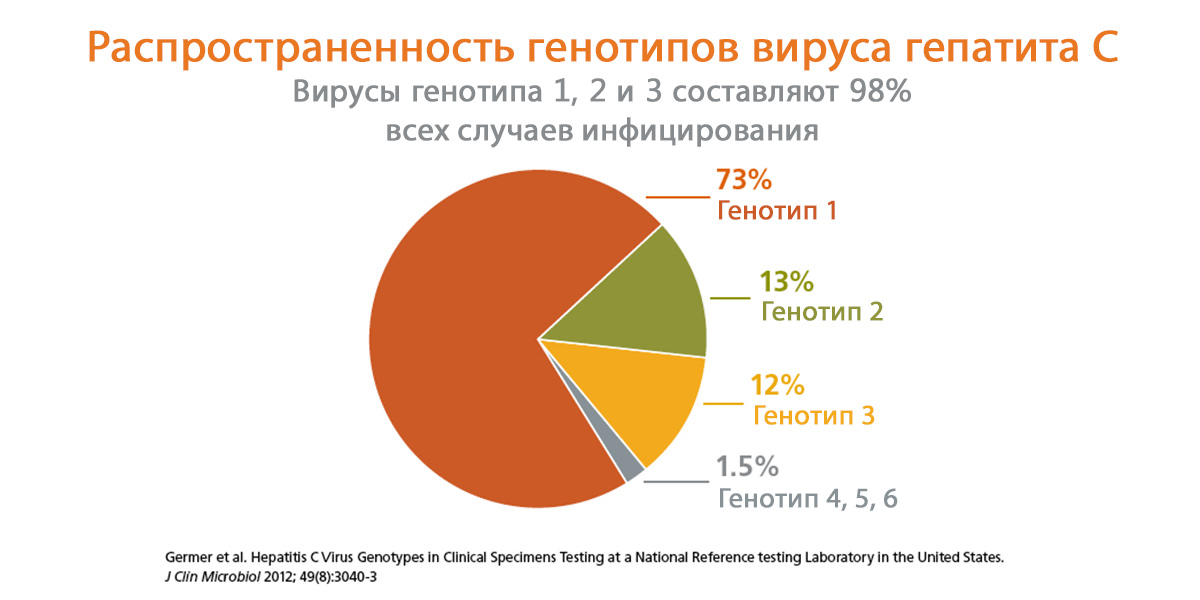 Генотипы гепатита С- фото № 3 Генотипы гепатита С