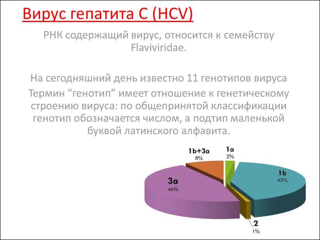 Серьезность проблемы гепатита С- фото № 3 Серьезность проблемы гепатита С