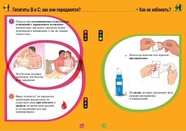 Передача гепатита С посредством интимного контакта- фото № 4 Передача гепатита С посредством интимного контакта