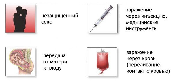Передача гепатита С посредством интимного контакта- фото № 3 Передача гепатита С посредством интимного контакта