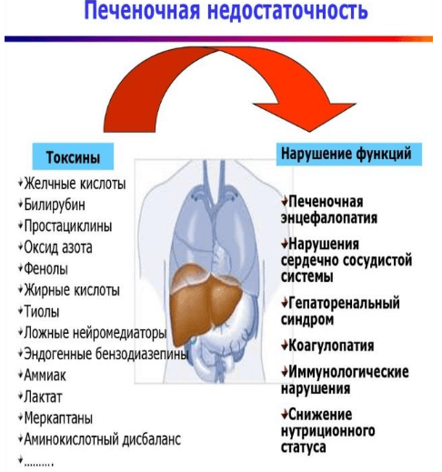 Печеночная недостаточность (ПН) Последствия заболевания гепатитом С для мужчин, женщин и детей