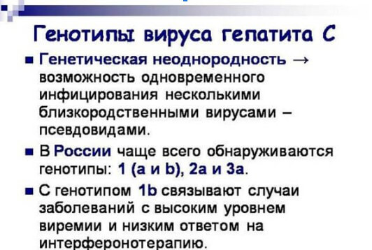 Генотипы вируса гепатита С: какой самый опасный- фото № 2 Генотипы вируса гепатита С: какой самый опасный