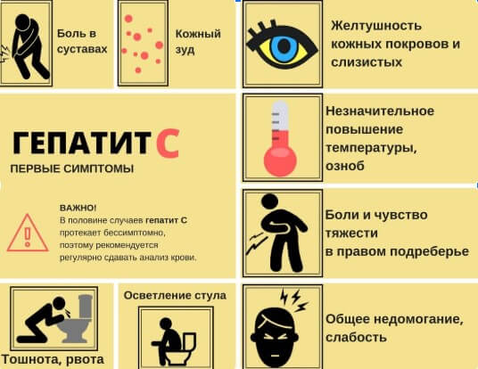 Особенности лечения 5 генотипа гепатита С- фото № 2 Особенности лечения 5 генотипа гепатита С